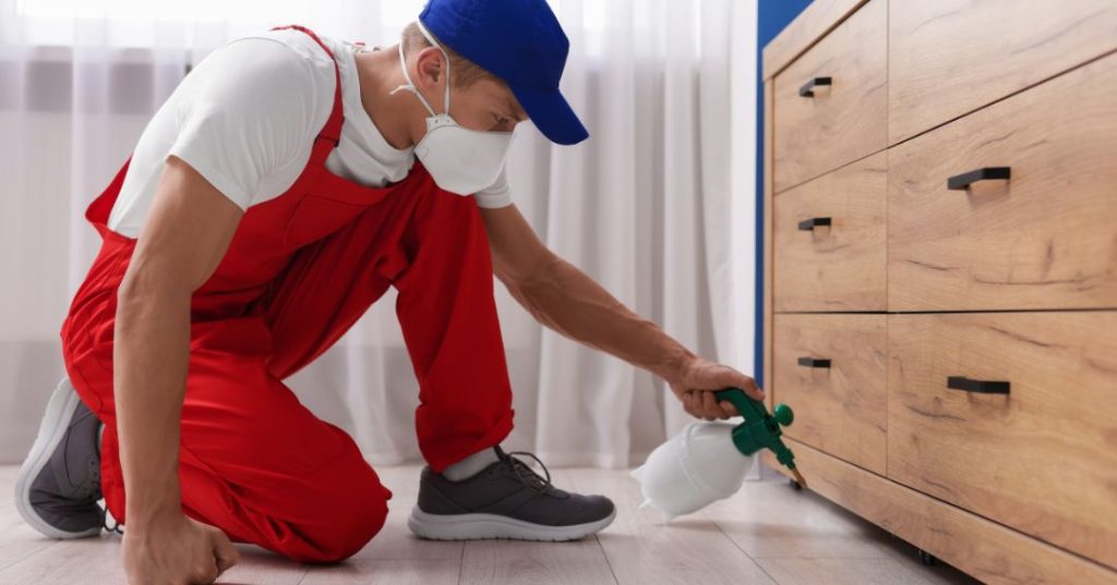 capa dedetizacao em São José dos Campos